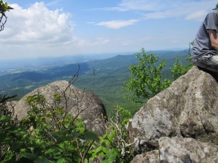 IMG_3905