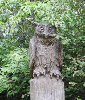 carved owl
