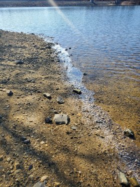 SunflowerEyez_111358